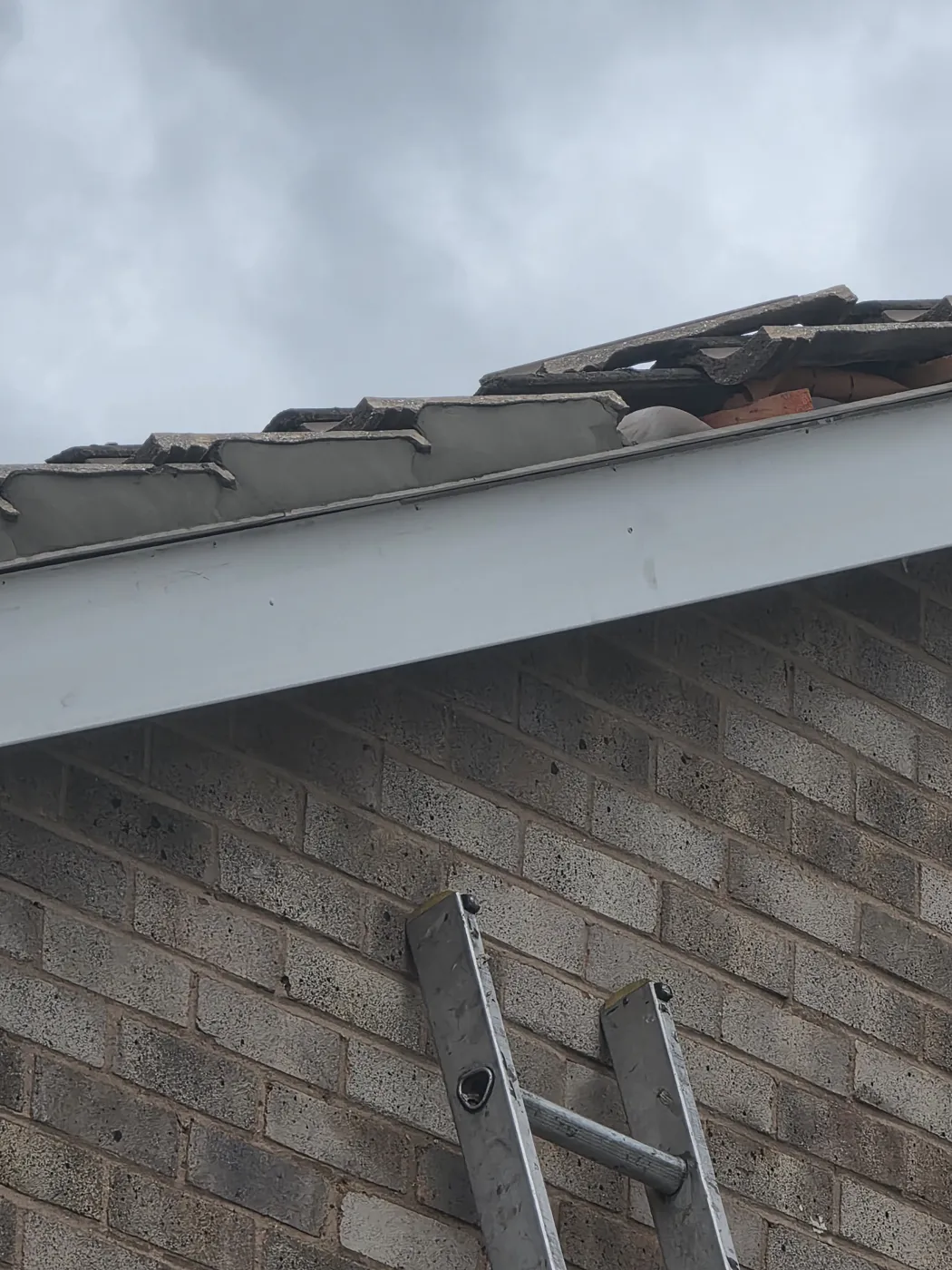 Roof condition identified before repair work by Cole Roofing: broken and displaced tiles along the edge of a roof.