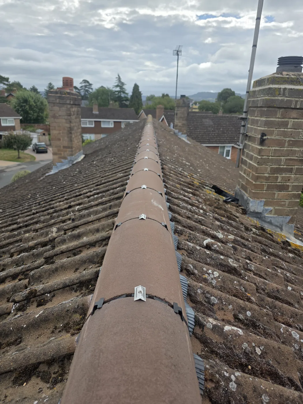 Cole Roofing